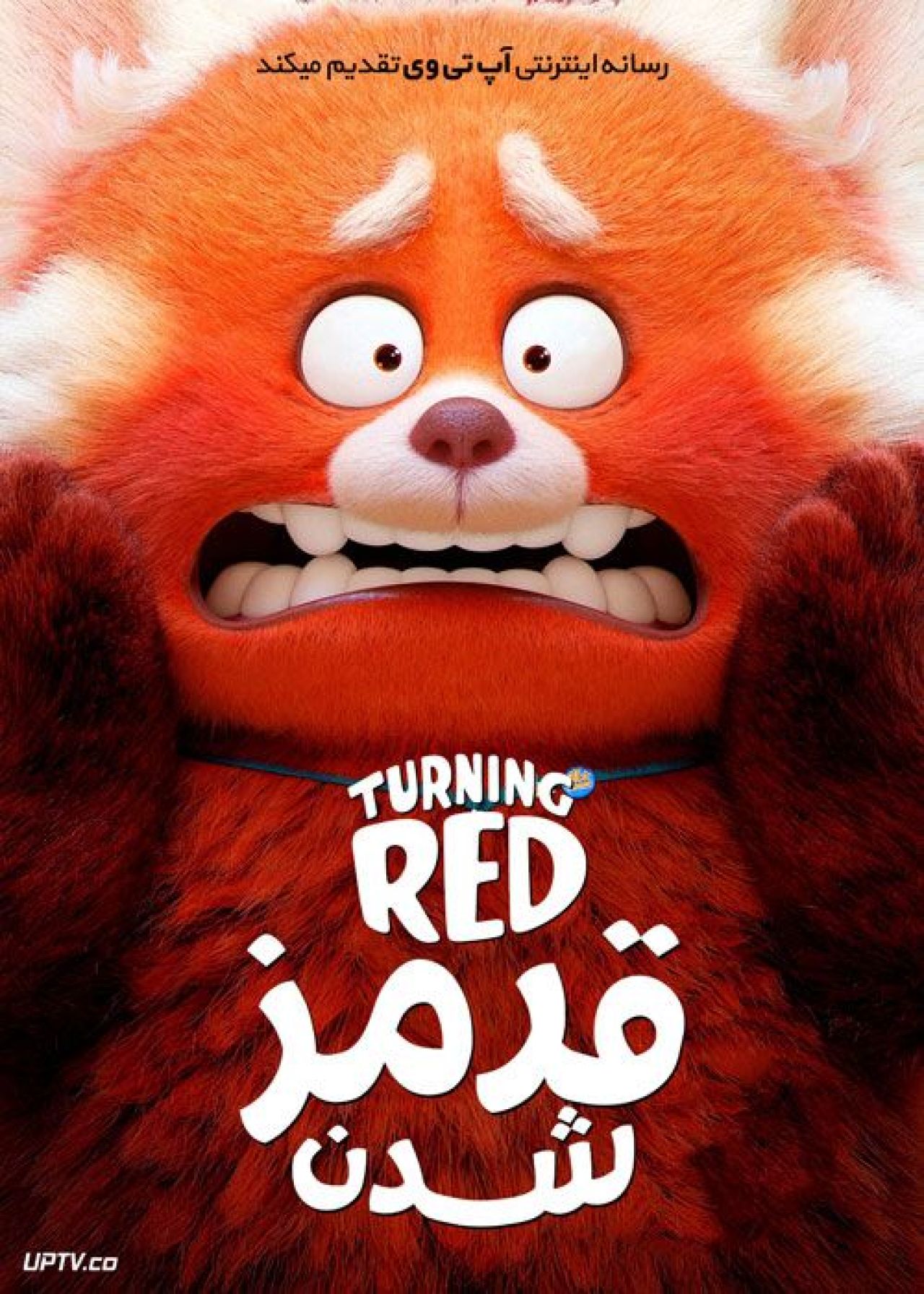 دانلود انیمیشن قرمز شدن Turning Red 2022 با دوبله فارسی