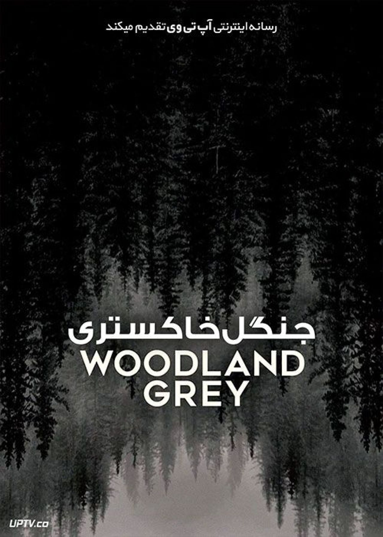 فیلم جنگل خاکستری Woodland Grey 2021 با زیرنویس فارسی