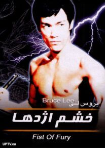 دانلود فیلم خشم اژدها با دوبله فارسی