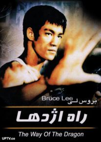 دانلود فیلم راه اژدها با دوبله فارسی