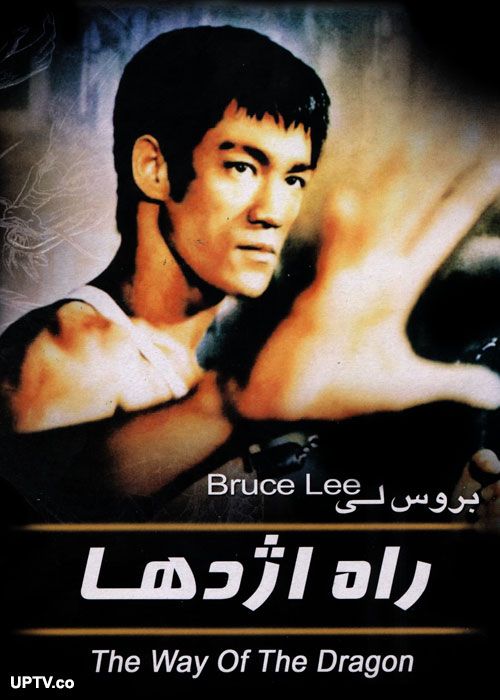 دانلود فیلم راه اژدها با دوبله فارسی