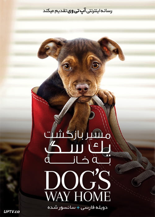 دانلود فیلم A Dogs Way Home 2019 مسیر بازگشت یک سگ به خانه با دوبله فارسی