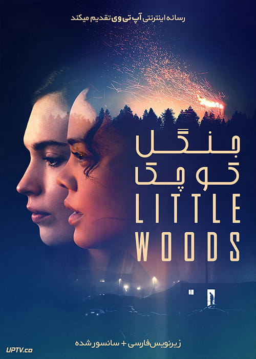 دانلود فیلم Little Woods 2018 جنگل کوچک با زیرنویس فارسی