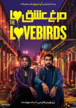 فیلم مرغ عشق ها