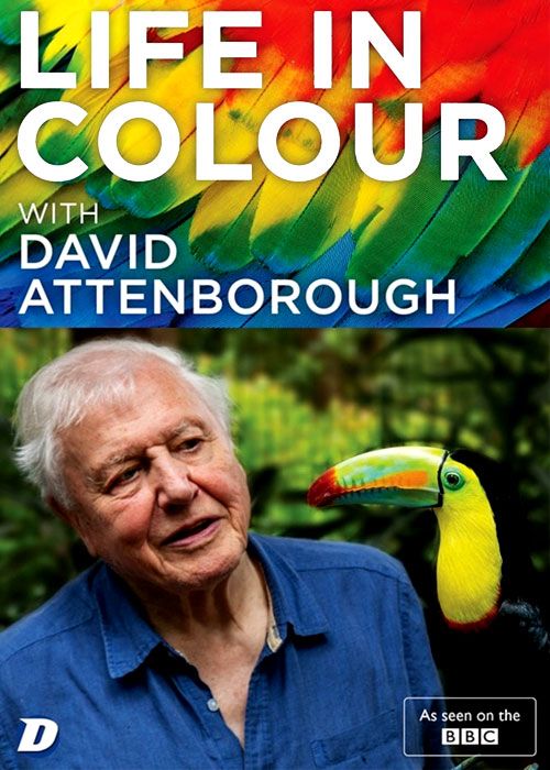 دانلود مستند حیات رنگی Life in Colour 2021
