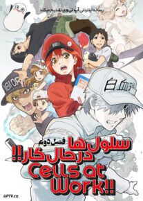 انیمه سلول ها در حال کار Cells at Work فصل دوم