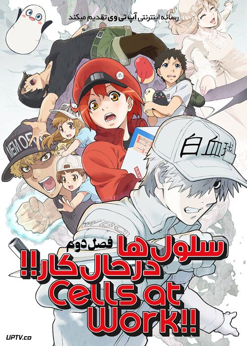 انیمه سلول ها در حال کار Cells at Work فصل دوم