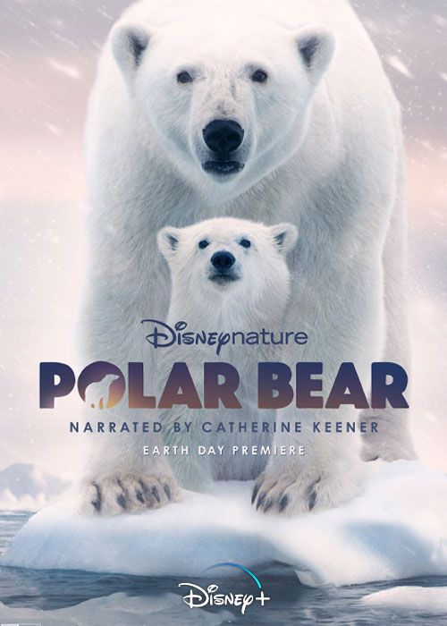 مستند خرس قطبی Polar Bear 2022