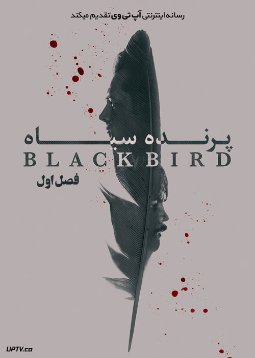سریال پرنده سیاه Black Bird فصل اول