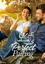 فیلم یک زوج بی نقص