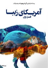 مستند آمریکای زیبا