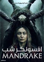 فیلم افسونگر شب