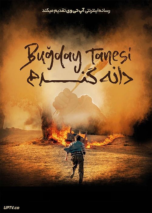 فیلم دانه گندم Wheat Grain 2022 با زیرنویس فارسی