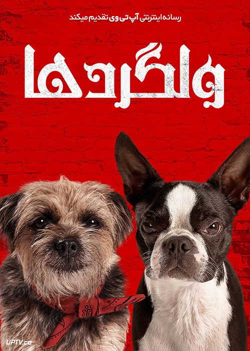 فیلم ولگردها Strays 2023 با دوبله فارسی