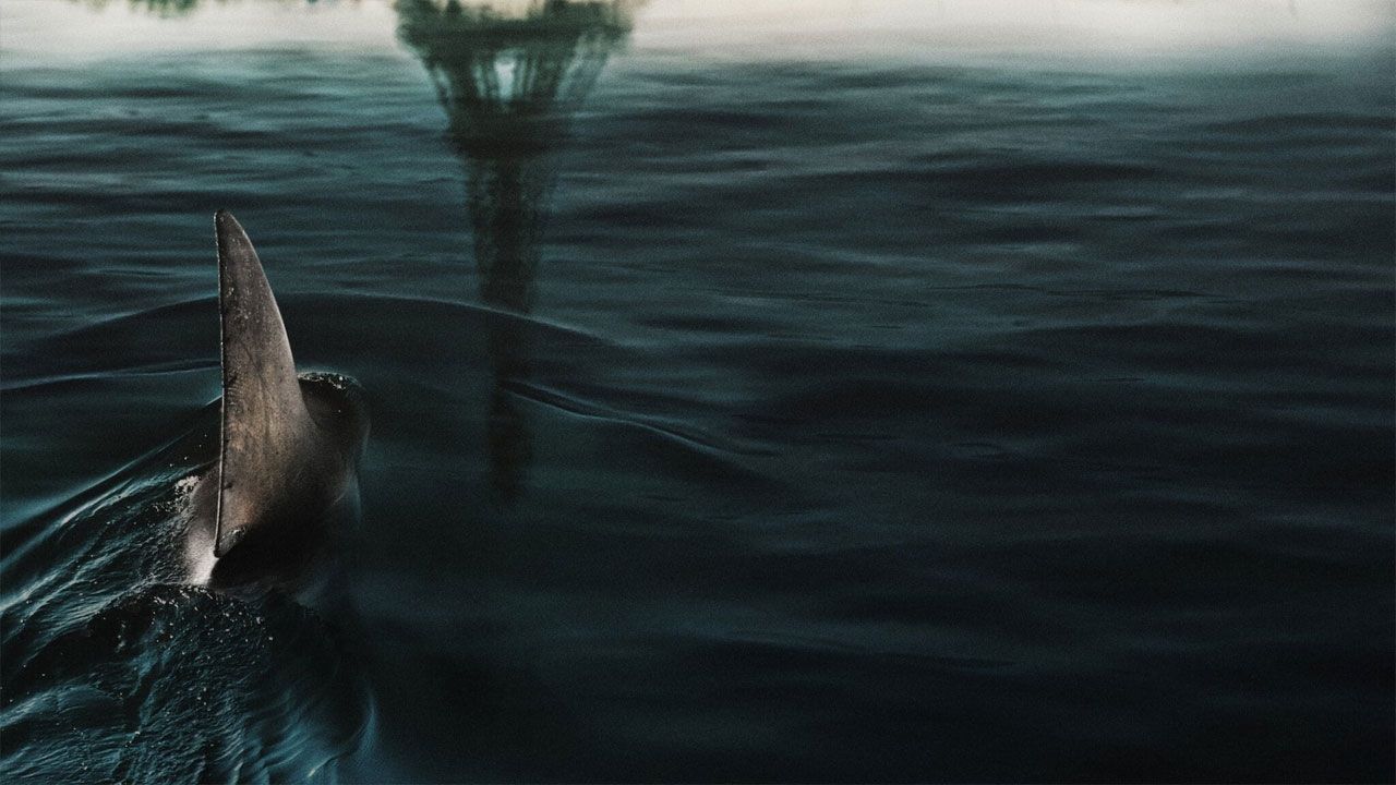 فیلم زیر پاریس Under Paris 2024 با دوبله فارسی