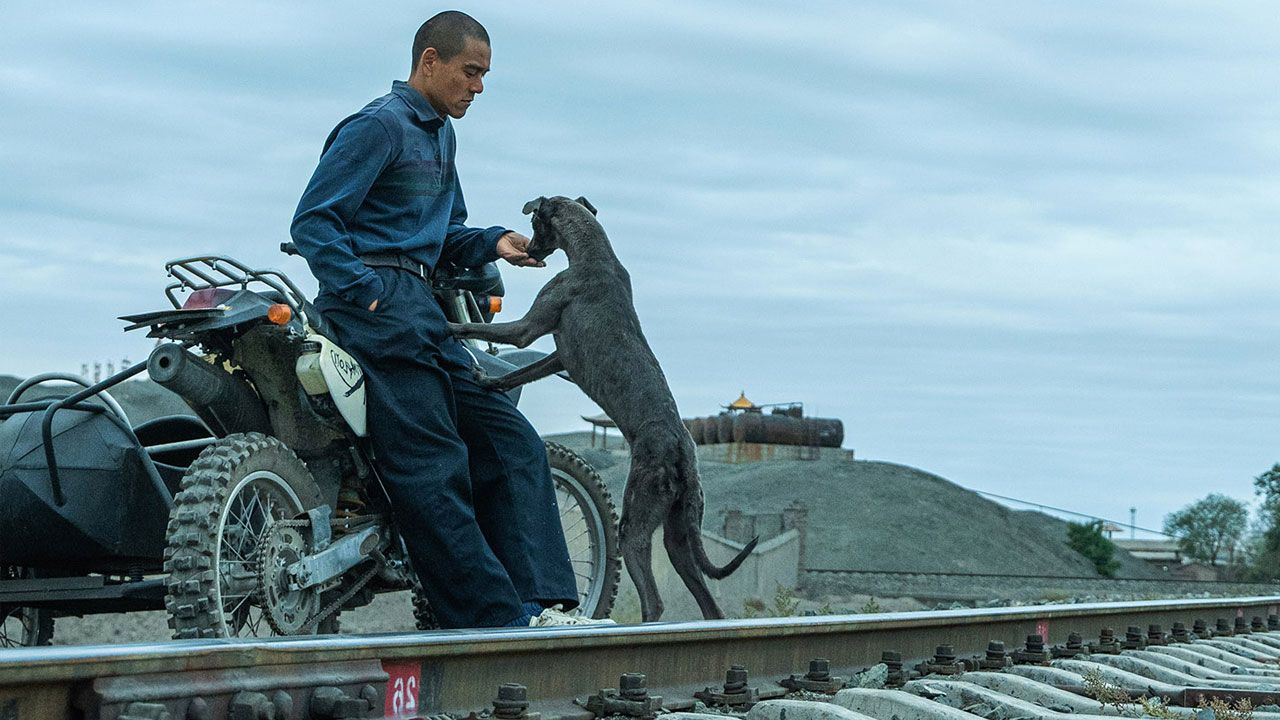 فیلم سگ سیاه Black Dog 2024 با دوبله فارسی