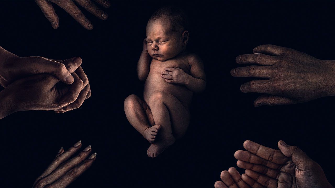 فیلم جزیره جاودانه ها The King Tide 2024 با دوبله فارسی