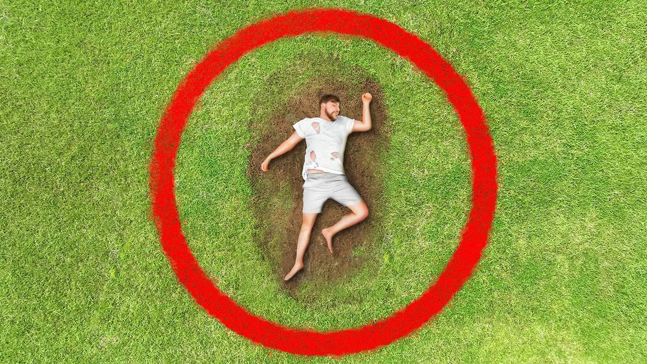 مستربیست : 100 روز زندگی در دایره برای 500 هزار دلار