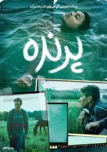 فیلم پرنده