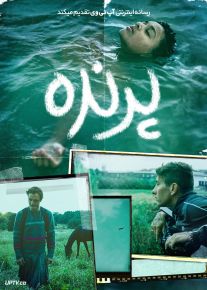 فیلم پرنده Bird 2024 با دوبله فارسی