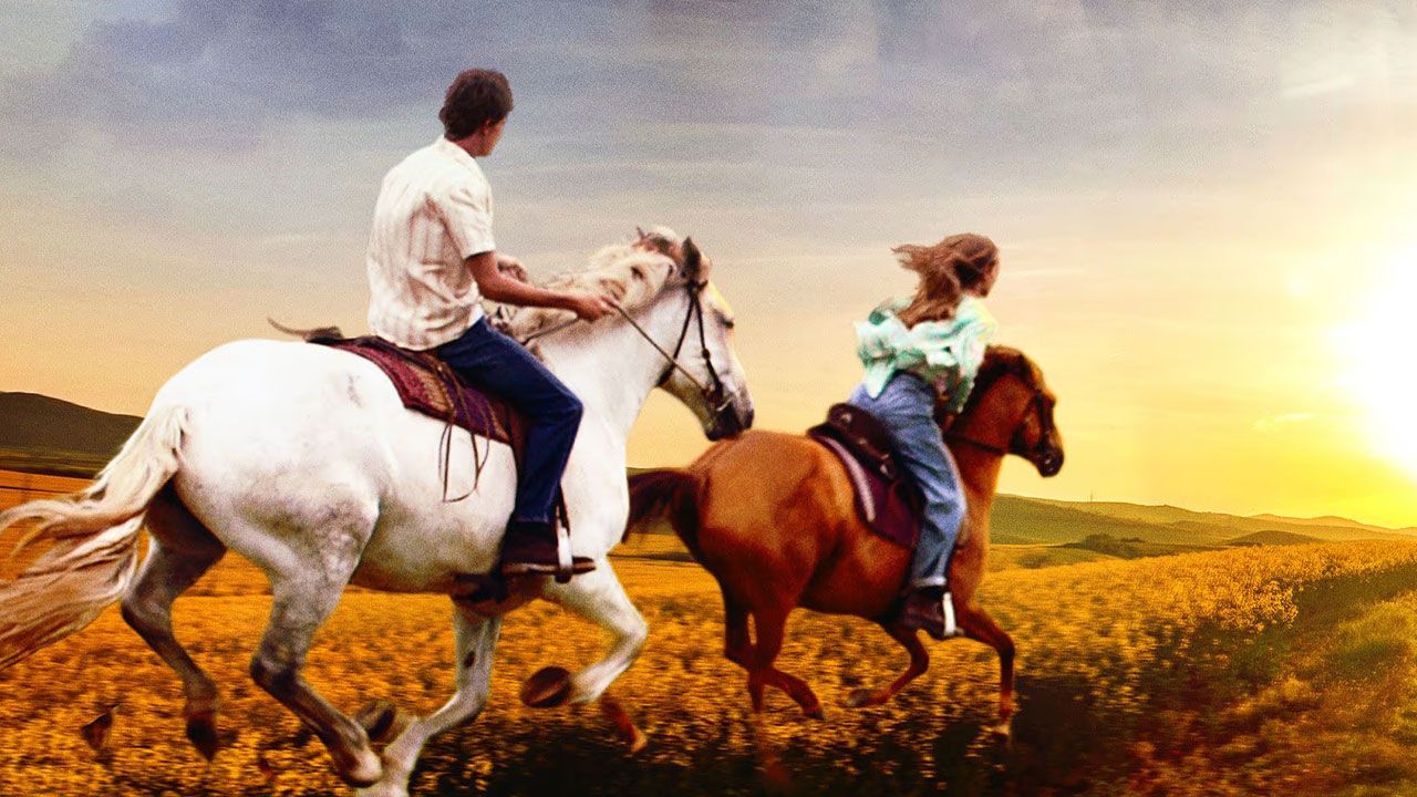 فیلم دست مرا بگیر Take My Hand 2024 با زیرنویس فارسی