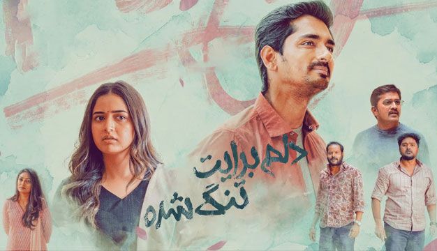 فیلم هندی دلم برایت تنگ شده Miss You 2024