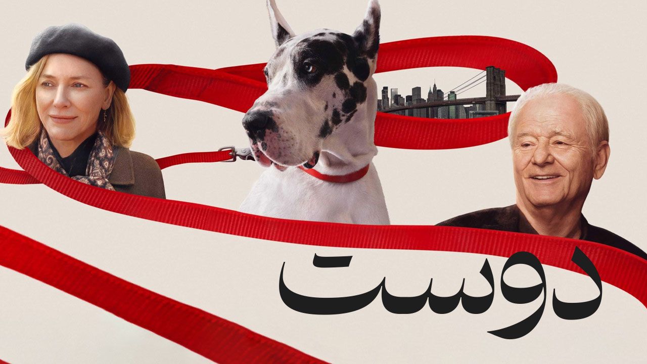 فیلم دوست The Friend 2024