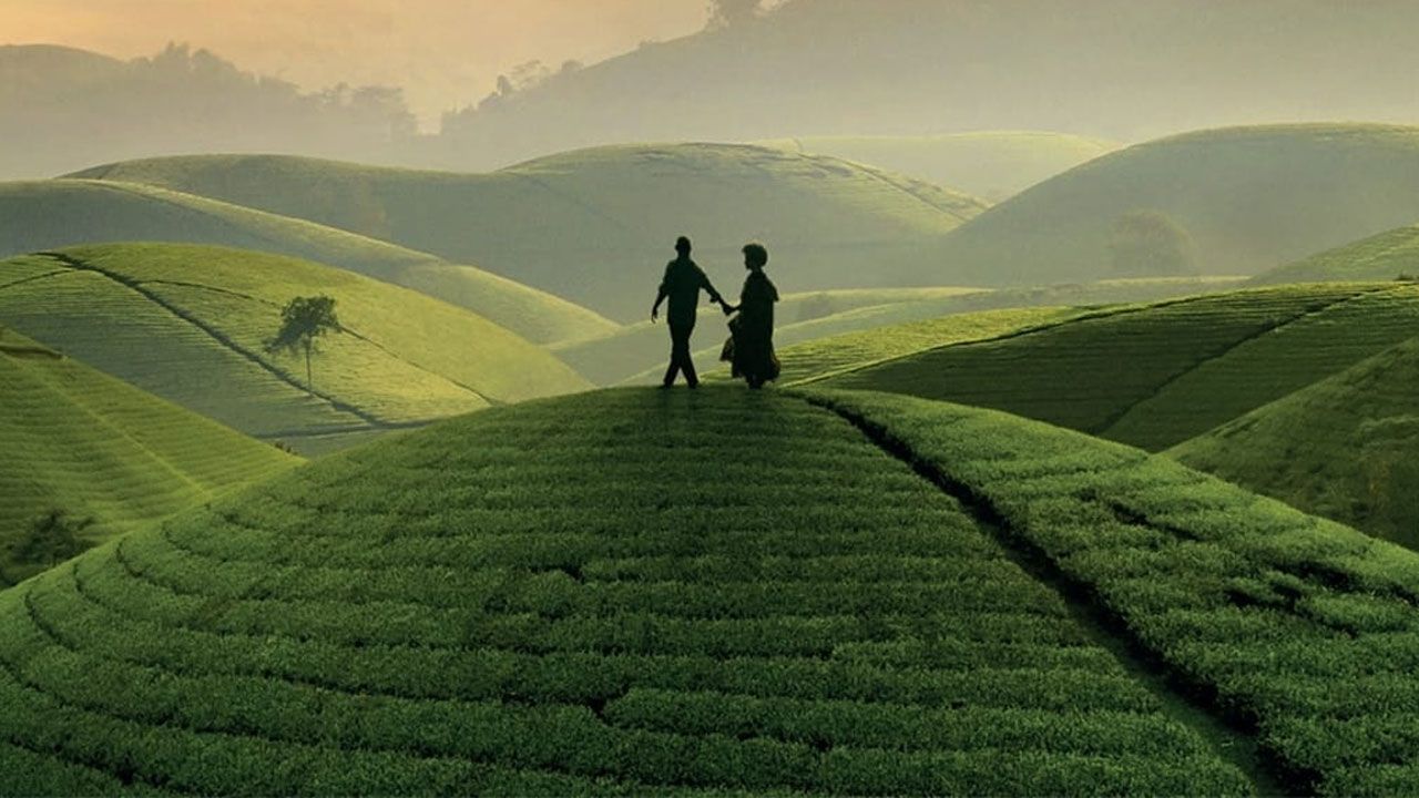 فیلم چای سیاه Black Tea 2024 با زیرنویس فارسی