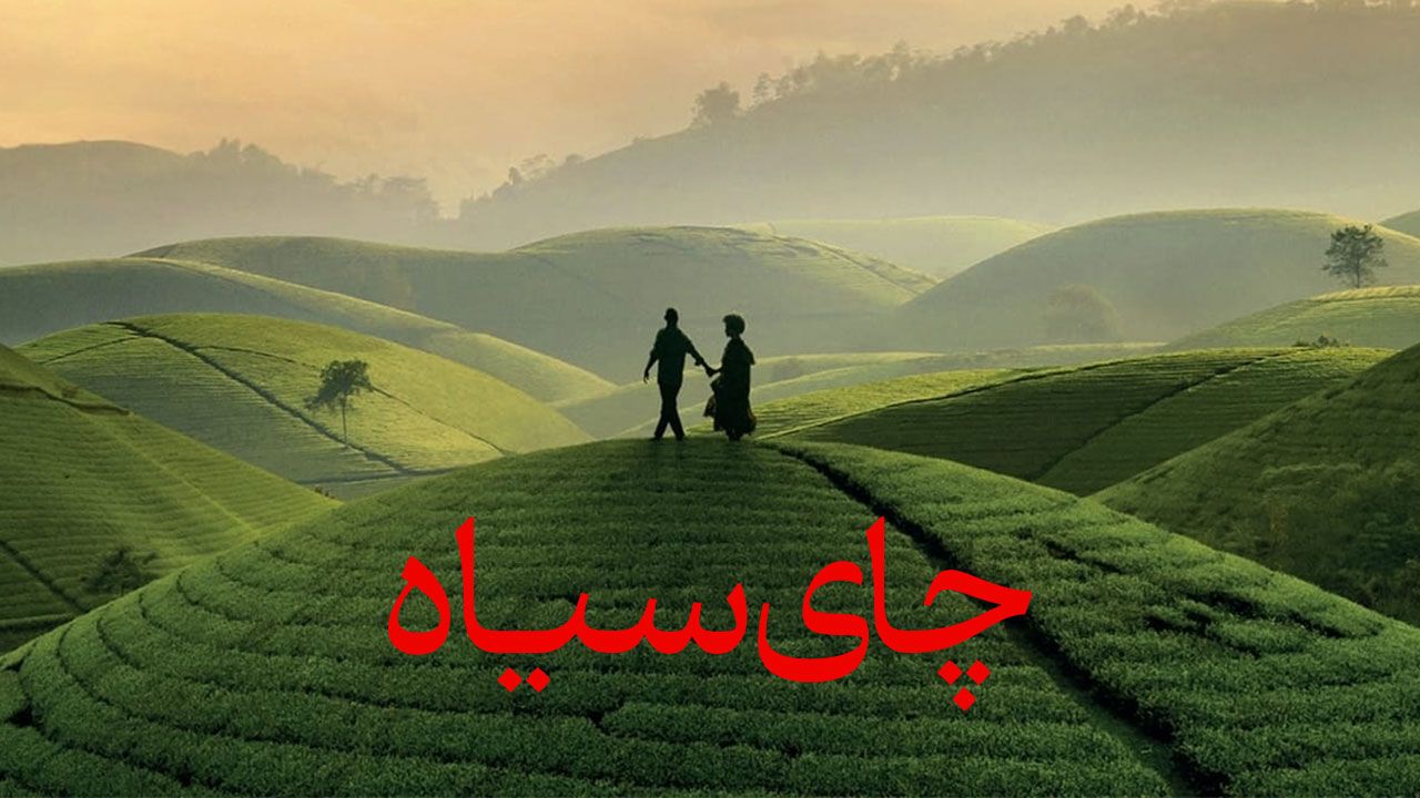 فیلم چای سیاه Black Tea 2024