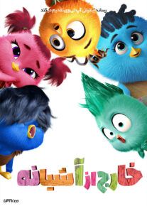 انیمیشن خارج از آشیانه Out of the Nest 2024 با دوبله فارسی