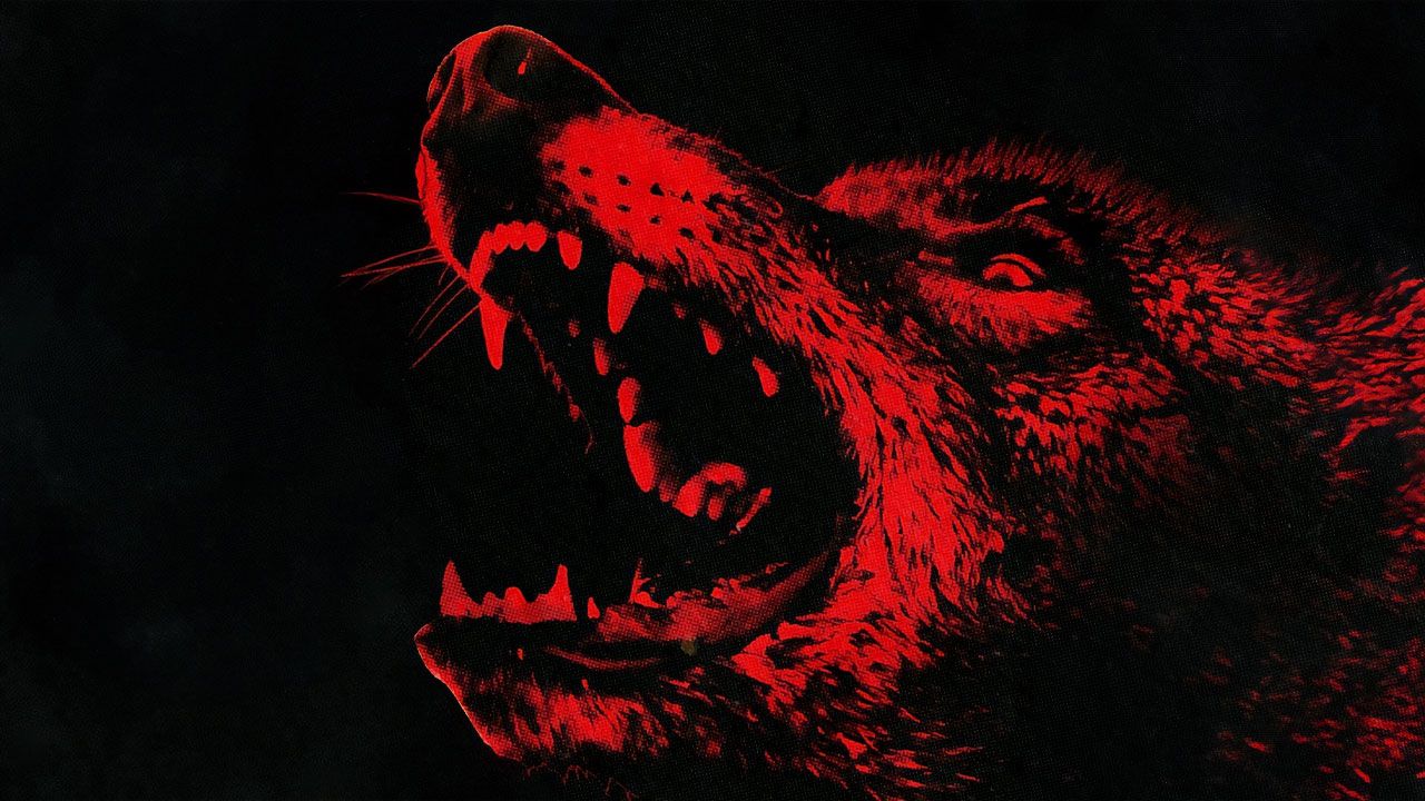 فیلم کایوت ها Coyotes 2025 با دوبله فارسی