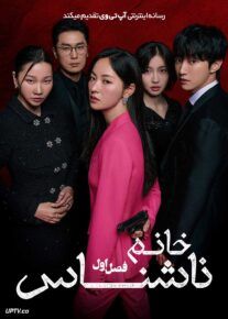  سریال خانم ناشناس Ms. Incognito 2025 فصل اول