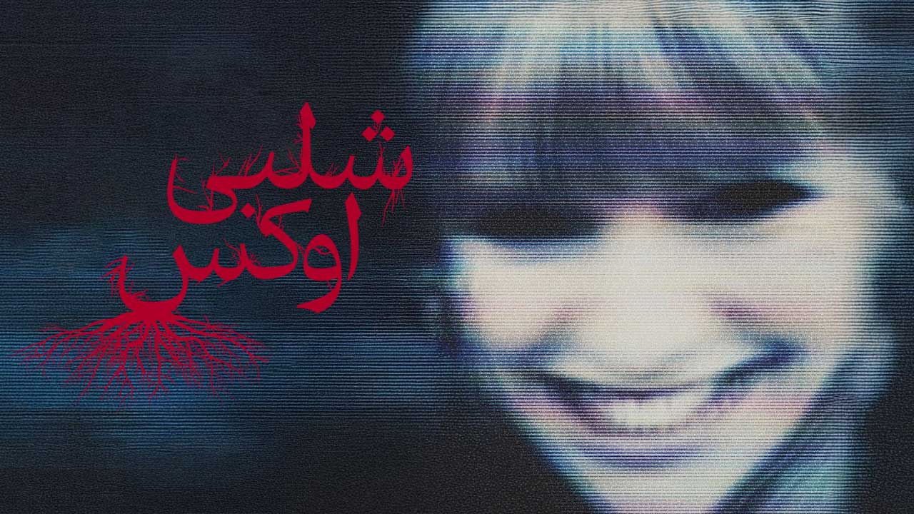 فیلم شلبی اوکس Shelby Oaks 2024