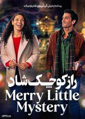 فیلم راز کوچک شاد Merry Little Mystery 2025 با زیرنویس فارسی