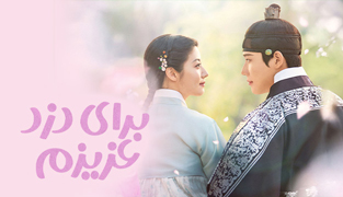 سریال برای دزد عزیزم