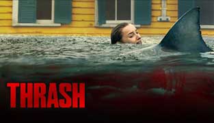 فیلم ویرانگر