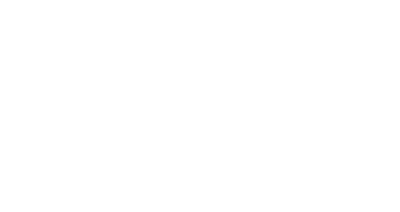 سالار مگس ها