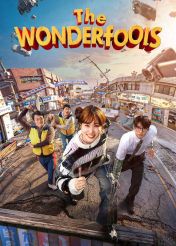 سریال احمق های شگفت انگیز 2026 The Wonderfools فصل اول