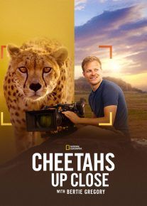  مستند یوزپلنگ ها از نزدیک Cheetahs Up Close 2026 با زیرنویس فارسی