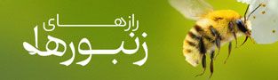 رازهای زنبورها