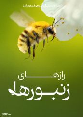 مستند رازهای زنبورها Secrets of the Bees 2026 با زیرنویس فارسی