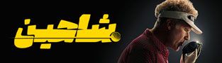 شاهین
