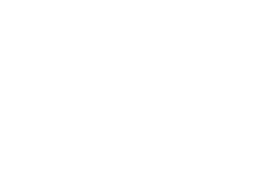 نگهبان پادشاه