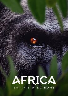 مستند آفریقا: خانه وحشی زمین Africa Earths Wild Home 2026 فصل اول