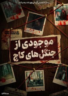 فیلم موجودی از جنگل های کاج Creature of the Pines 2026 با زیرنویس فارسی